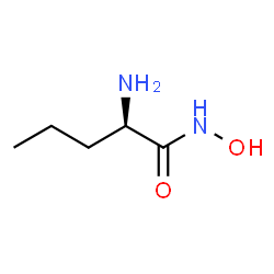 ChemSpider 2D Image | N-Hydroxy-D-norvalinamide | C5H12N2O2
