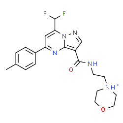 ChemSpider 2D Image | 4-[2-({[7-(Difluoromethyl)-5-(4-methylphenyl)pyrazolo[1,5-a]pyrimidin-3-yl]carbonyl}amino)ethyl]morpholin-4-ium | C21H24F2N5O2