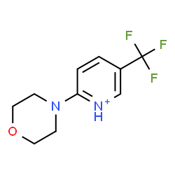 ChemSpider 2D Image | 2-(4-Morpholinyl)-5-(trifluoromethyl)pyridinium | C10H12F3N2O