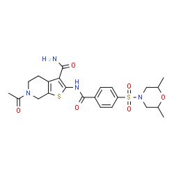 ChemSpider 2D Image | 6-Acetyl-2-({4-[(2,6-dimethyl-4-morpholinyl)sulfonyl]benzoyl}amino)-4,5,6,7-tetrahydrothieno[2,3-c]pyridine-3-carboxamide | C23H28N4O6S2