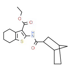 ChemSpider 2D Image | Ethyl 2-[(bicyclo[2.2.1]hept-2-ylcarbonyl)amino]-4,5,6,7-tetrahydro-1-benzothiophene-3-carboxylate | C19H25NO3S