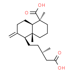 ChemSpider 2D Image | (1S,4aR,5S,8aR)-5-[(3S)-4-Carboxy-3-methylbutyl]-1,4a-dimethyl-6-methylenedecahydro-1-naphthalenecarboxylic acid | C20H32O4