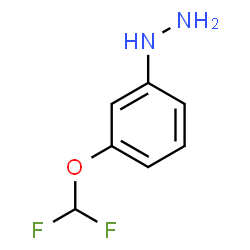 ChemSpider 2D Image | [3-(Difluoromethoxy)phenyl]hydrazine | C7H8F2N2O