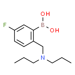 ChemSpider 2D Image | {2-[(Dipropylamino)methyl]-5-fluorophenyl}boronic acid | C13H21BFNO2