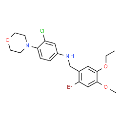 ChemSpider 2D Image | N-(2-Bromo-5-ethoxy-4-methoxybenzyl)-3-chloro-4-(4-morpholinyl)aniline | C20H24BrClN2O3