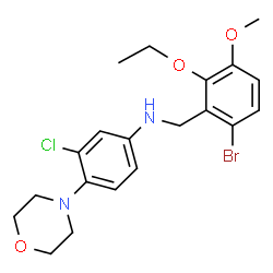 ChemSpider 2D Image | N-(6-Bromo-2-ethoxy-3-methoxybenzyl)-3-chloro-4-(4-morpholinyl)aniline | C20H24BrClN2O3