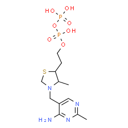 ChemSpider 2D Image | 2-{3-[(4-Amino-2-methyl-5-pyrimidinyl)methyl]-4-methyl-1,3-thiazolidin-5-yl}ethyl trihydrogen diphosphate | C12H22N4O7P2S