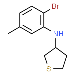 ChemSpider 2D Image | N-(2-Bromo-5-methylphenyl)tetrahydro-3-thiophenamine | C11H14BrNS