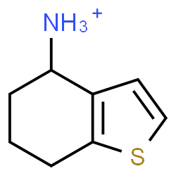 ChemSpider 2D Image | 4,5,6,7-Tetrahydro-1-benzothiophen-4-aminium | C8H12NS