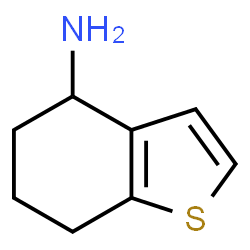ChemSpider 2D Image | 4,5,6,7-Tetrahydro-1-benzothiophen-4-amine | C8H11NS
