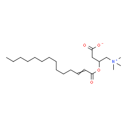 ChemSpider 2D Image | 3-[(2E)-2-Tetradecenoyloxy]-4-(trimethylammonio)butanoate | C21H39NO4