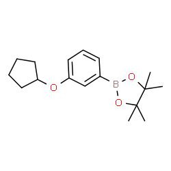 ChemSpider 2D Image | 2-(3-(Cyclopentyloxy)phenyl)-4,4,5,5-tetramethyl-1,3,2-dioxaborolane | C17H25BO3