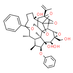 ChemSpider 2D Image | (1R,4S,10R,11S,12S,13S,14S,15S,16R,18S,19S,21R,23S,24R)-16-(Hydroxymethyl)-21-isopropenyl-10,12,24-trimethyl-13-phenoxy-23-(phenoxymethyl)-2,17,25,26-tetraoxaheptacyclo[12.9.1.1~3,20~.1~3,21~.0~1,19~.
0~11,24~.0~16,18~]hexacosane-4,14,15-triol | C42H54O10