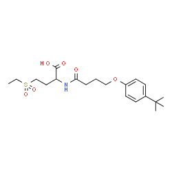 ChemSpider 2D Image | 4-(Ethylsulfonyl)-2-({4-[4-(2-methyl-2-propanyl)phenoxy]butanoyl}amino)butanoic acid | C20H31NO6S