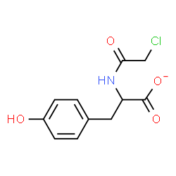 ChemSpider 2D Image | 2-[(Chloroacetyl)amino]-3-(4-hydroxyphenyl)propanoate | C11H11ClNO4