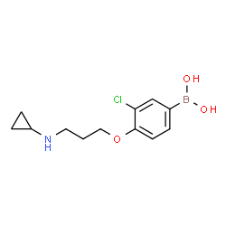 ChemSpider 2D Image | (3-chloro-4-(3-(cyclopropylamino)propoxy)phenyl)boronic acid | C12H17BClNO3