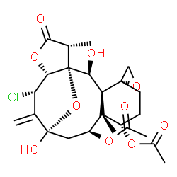 ChemSpider 2D Image | (1R,2S,3S,4R,7S,8R,9S,11S,13S,14R,17R)-13-Chloro-2,11-dihydroxy-8,17-dimethyl-12-methylene-16-oxospiro[15,18-dioxatetracyclo[9.6.1.0~1,14~.0~3,8~]octadecane-4,2'-oxirane]-7,9-diyl diacetate | C24H31ClO10