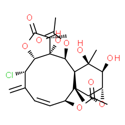ChemSpider 2D Image | (1R,3aR,4S,6Z,8S,8aS,9R,10S,11S,12R,12aS,13S,13aR)-4-Chloro-11,12,13a-trihydroxy-1,8a,12-trimethyl-5-methylene-2-oxo-1,2,3a,4,5,8,8a,9,10,11,12,12a,13,13a-tetradecahydro-9,10-epoxybenzo[4,5]cyclodeca[
1,2-b]furan-8,13-diyl diacetate | C24H31ClO10