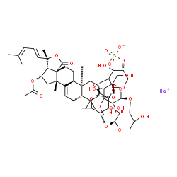 ChemSpider 2D Image | Sodium (3beta,9beta,16beta,22E)-16-acetoxy-18-oxo-18,20-epoxylanosta-7,22,24-trien-3-yl 3-O-methyl-beta-D-glycero-hexopyranosyl-(1->3)-beta-D-glycero-pentopyranosyl-(1->4)-6-deoxy-beta-D-glycero-hexop
yranosyl-(1->2)-4-O-sulfonato-beta-D-glycero-pentopyranoside | C55H83NaO25S