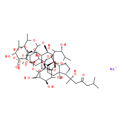 ChemSpider 2D Image | Sodium (3beta,5alpha,6alpha)-6-{[6-deoxy-beta-D-glycero-hexopyranosyl-(1->2)-[6-deoxy-alpha-L-glycero-hexopyranosyl-(1->2)-6-deoxy-beta-D-glycero-hexopyranosyl-(1->4)]-D-glycero-hexopyranosyl-(1->3)-6
-deoxy-D-glycero-hexopyranosyl]oxy}-20-hydroxy-23-oxocholest-9(11)-en-3-yl sulfate | C57H93NaO28S