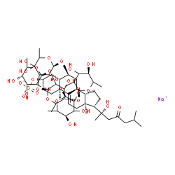 ChemSpider 2D Image | Sodium (3S,5S,6S,8S,10S,13S,14S,17S)-6-{[(2R)-4-{[(2S,5S)-5-{[(2S,5R)-4,5-dihydroxy-6-methyl-3-{[(2S,5R)-3,4,5-trihydroxy-6-methyltetrahydro-2H-pyran-2-yl]oxy}tetrahydro-2H-pyran-2-yl]oxy}-4-hydroxy-6
-methyl-3-{[(2S,5S)-3,4,5-trihydroxy-6-methyltetrahydro-2H-pyran-2-yl]oxy}tetrahydro-2H-pyran-2-yl]oxy}-3,5,5-trihydroxy-6-methyltetrahydro-2H-pyran-2-yl]oxy}-17-[(2S)-2-hydroxy-6-methyl-4-oxo-2-hepta
nyl]-10,13-dimethyl-2,3,4,5,6,7,8,10,12,13,14,15,16,17-tetradecahydro-1H-cyclopenta[a]phenanthren-3-yl sulfate (non-preferred name) | C57H93NaO28S