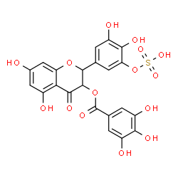 ChemSpider 2D Image | 2-[3,4-Dihydroxy-5-(sulfooxy)phenyl]-5,7-dihydroxy-4-oxo-3,4-dihydro-2H-chromen-3-yl 3,4,5-trihydroxybenzoate | C22H16O15S
