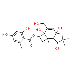 ChemSpider 2D Image | 2a,4a,7-Trihydroxy-3-(hydroxymethyl)-6,6,7b-trimethyl-2,2a,4a,5,6,7,7a,7b-octahydro-1H-cyclobuta[e]inden-2-yl 2,4-dihydroxy-6-methylbenzoate | C23H30O8