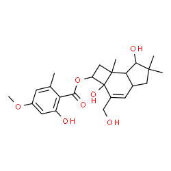 ChemSpider 2D Image | 2a,7-Dihydroxy-3-(hydroxymethyl)-6,6,7b-trimethyl-2,2a,4a,5,6,7,7a,7b-octahydro-1H-cyclobuta[e]inden-2-yl 2-hydroxy-4-methoxy-6-methylbenzoate | C24H32O7