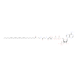ChemSpider 2D Image | S-{(9R)-1-[(2R,3S,4R,5R)-5-(6-Amino-9H-purin-9-yl)-4-hydroxy-3-(phosphonooxy)tetrahydro-2-furanyl]-3,5,9-trihydroxy-8,8-dimethyl-3,5-dioxido-10,14-dioxo-2,4,6-trioxa-11,15-diaza-3lambda~5~,5lambda~5~-
diphosphaheptadecan-17-yl} (9Z,12Z,15Z,18Z)-9,12,15,18-tetracosatetraenethioate (non-preferred name) | C45H74N7O17P3S