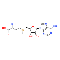 ChemSpider 2D Image | (3-Amino-3-carboxypropyl){[(2S,3S,4R,5R)-5-(6-amino-9H-purin-9-yl)-3,4-dihydroxytetrahydro-2-furanyl]methyl}methylselenonium (non-preferred name) | C15H23N6O5Se