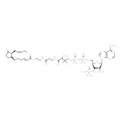 ChemSpider 2D Image | S-{(9R)-1-[(2R,3S,4R,5R)-5-(6-Amino-9H-purin-9-yl)-4-hydroxy-3-(phosphonooxy)tetrahydro-2-furanyl]-3,5,9-trihydroxy-8,8-dimethyl-3,5-dioxido-10,14-dioxo-2,4,6-trioxa-11,15-diaza-3lambda~5~,5lambda~5~-
diphosphaheptadecan-17-yl} (2E)-6-{(1R,2S)-3-oxo-2-[(2Z)-2-penten-1-yl]cyclopentyl}-2-hexenethioate (non-preferred name) | C37H58N7O18P3S