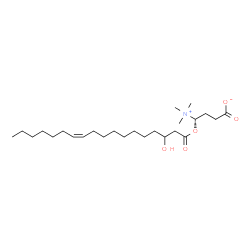 ChemSpider 2D Image | (4S)-4-{[(11Z)-3-Hydroxy-11-octadecenoyl]oxy}-4-(trimethylammonio)butanoate | C25H47NO5