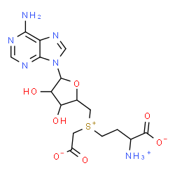 ChemSpider 2D Image | (2S)-4-[{[(2S,3S,4R,5R)-5-(6-amino-9H-purin-9-yl)-3,4-dihydroxytetrahydrofuran-2-yl]methyl}(carboxylatomethyl)sulfonio]-2-ammoniobutanoate | C16H22N6O7S