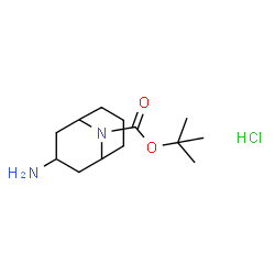 ChemSpider 2D Image | 2-Methyl-2-propanyl 3-amino-9-azabicyclo[3.3.1]nonane-9-carboxylate hydrochloride (1:1) | C13H25ClN2O2