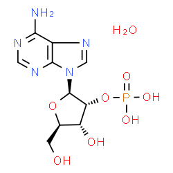 ChemSpider 2D Image | ADENOSINE-2'-PHOSPHATE .H2O | C10H16N5O8P