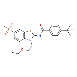 ChemSpider 2D Image | N-[3-(2-Ethoxyethyl)-6-(methylsulfonyl)-1,3-benzothiazol-2(3H)-ylidene]-4-(2-methyl-2-propanyl)benzamide | C23H28N2O4S2