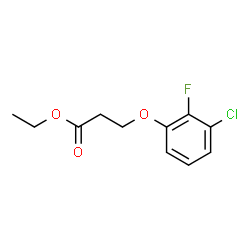 ChemSpider 2D Image | Ethyl 3-(3-chloro-2-fluorophenoxy)propanoate | C11H12ClFO3