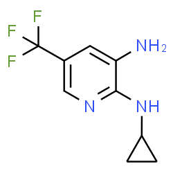 ChemSpider 2D Image | N~2~-Cyclopropyl-5-(trifluoromethyl)-2,3-pyridinediamine | C9H10F3N3