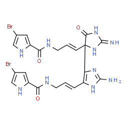 ChemSpider 2D Image | N-[(2E)-3-(4-{2-Amino-5-[(1E)-3-{[(4-bromo-1H-pyrrol-2-yl)carbonyl]amino}-1-propen-1-yl]-1H-imidazol-4-yl}-2-imino-5-oxo-4-imidazolidinyl)-2-propen-1-yl]-4-bromo-1H-pyrrole-2-carboxamide | C22H22Br2N10O3