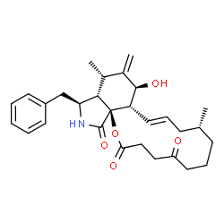 ChemSpider 2D Image | (9R,11E,12aS,13S,15S,15aS,16S,18aS)-16-Benzyl-13-hydroxy-9,15-dimethyl-14-methylene-3,4,6,7,8,9,10,12a,13,14,15,15a,16,17-tetradecahydro-2H-oxacyclotetradecino[2,3-d]isoindole-2,5,18-trione | C29H37NO5