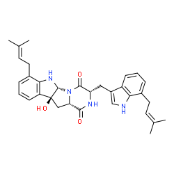 ChemSpider 2D Image | (3S,5aR,10bS,11aS)-10b-Hydroxy-7-(3-methyl-2-buten-1-yl)-3-{[7-(3-methyl-2-buten-1-yl)-1H-indol-3-yl]methyl}-6,10b,11,11a-tetrahydro-2H-pyrazino[1',2':1,5]pyrrolo[2,3-b]indole-1,4(3H,5aH)-dione | C32H36N4O3