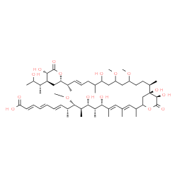 ChemSpider 2D Image | (2E,4E,6E,8R,9S,10R,11R,12R,13S,14E,16E)-18-{(4S,5R)-4,5-Dihydroxy-4-[(2R,12E,14S)-9-hydroxy-14-{(2S,4S,5S)-5-hydroxy-4-[(2S)-3-hydroxy-2-butanyl]-6-oxotetrahydro-2H-pyran-2-yl}-5,7-dimethoxy-10-methy
l-12-pentadecen-2-yl]-6-oxotetrahydro-2H-pyran-2-yl}-11,13-dihydroxy-9-methoxy-8,10,12,14,16-pentamethyl-2,4,6,14,16-nonadecapentaenoic acid (non-preferred name) | C57H94O16