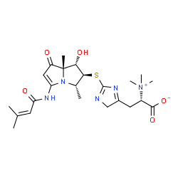 ChemSpider 2D Image | (2S)-3-[2-({(1S,2S,3S,7aS)-1-Hydroxy-3,7a-dimethyl-5-[(3-methyl-2-butenoyl)amino]-7-oxo-2,3,7,7a-tetrahydro-1H-pyrrolizin-2-yl}sulfanyl)-4H-imidazol-5-yl]-2-(trimethylammonio)propanoate | C23H33N5O5S