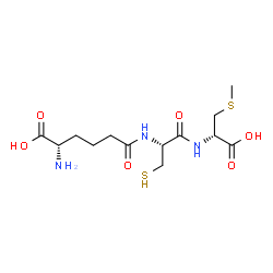 ChemSpider 2D Image | N-[(5S)-5-Amino-5-carboxypentanoyl]-L-cysteinyl-S-methyl-D-cysteine | C13H23N3O6S2