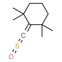 ChemSpider 2D Image | 1,1,3,3-Tetramethyl-2-(sulfinylmethylene)cyclohexane | C11H18OS