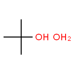 2 methyl  2 propanol