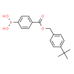 ChemSpider 2D Image | [4-({[4-(2-Methyl-2-propanyl)benzyl]oxy}carbonyl)phenyl]boronic acid | C18H21BO4