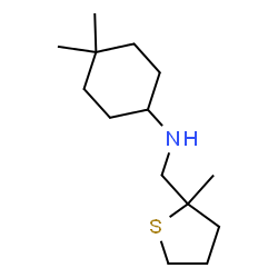 ChemSpider 2D Image | 4,4-Dimethyl-N-[(2-methyltetrahydro-2-thiophenyl)methyl]cyclohexanamine | C14H27NS