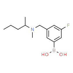 ChemSpider 2D Image | (3-Fluoro-5-{[methyl(2-pentanyl)amino]methyl}phenyl)boronic acid | C13H21BFNO2