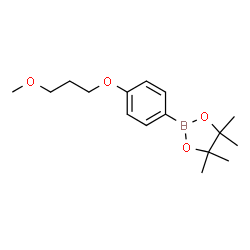 ChemSpider 2D Image | 2-[4-(3-Methoxypropoxy)phenyl]-4,4,5,5-tetramethyl-1,3,2-dioxaborolane | C16H25BO4